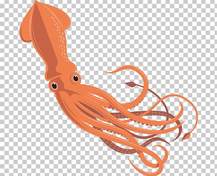 Giant Squid Octopus Cephalopod Invertebrate PNG, Clipart, Animal, Cephalopod, Drawing, Fish, Giant Squid Free PNG Download