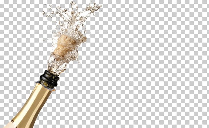 Champagne Bottle PNG, Clipart, Booze, Bottle, Branch, Champagne, Cork Free PNG Download