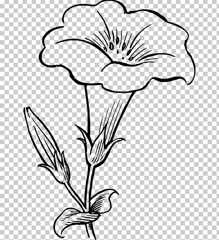 Drawing Black And White Flower PNG, Clipart, Art, Artwork, Black, Black And White, Cartoon Free PNG Download