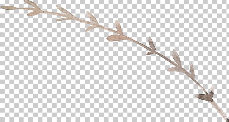 Twig Plant Stem Leaf Antler Line PNG, Clipart, Antler, Branch, Flower, Leaf, Line Free PNG Download