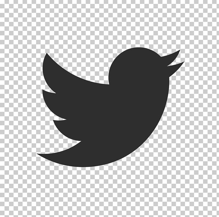 Computer Icons Social Media PNG, Clipart, Beak, Bird, Black And White, Computer Icons, Computer Software Free PNG Download