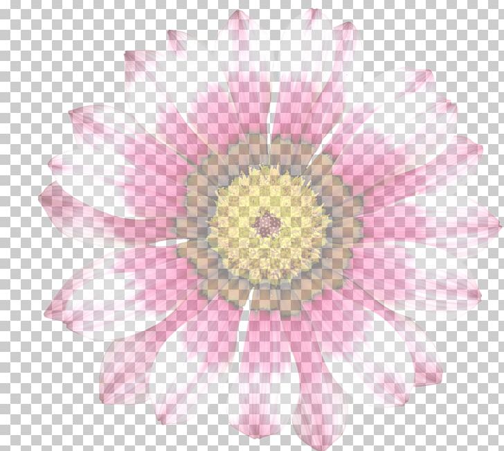 Flower PNG, Clipart, Arti, Chrysanthemum, Chrysanths, Common Daisy, Cut Flowers Free PNG Download