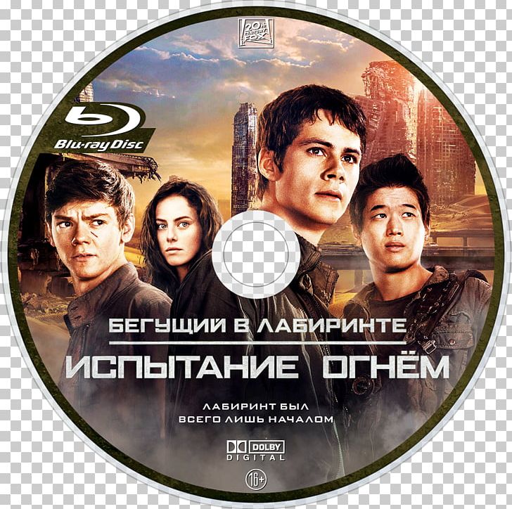 Maze Runner: The Scorch Trials The Maze Runner Blu-ray Disc Compact Disc PNG, Clipart, Bluray Disc, Compact Disc, Disk Image, Dvd, Fan Art Free PNG Download