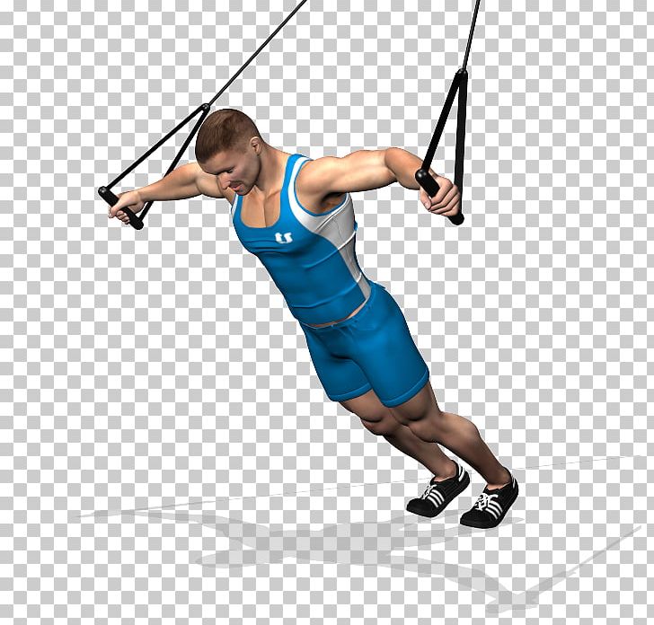Suspension Training Exercise Physical Fitness Weight Training Functional Training PNG, Clipart, Alzata Laterale, Arm, Barbell, Biceps, Dumbbell Free PNG Download