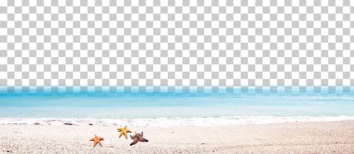 Vacation Summer Ecoregion Sky Plc PNG, Clipart, Beach, Coast, Ecoregion, Horizon, Ocean Free PNG Download