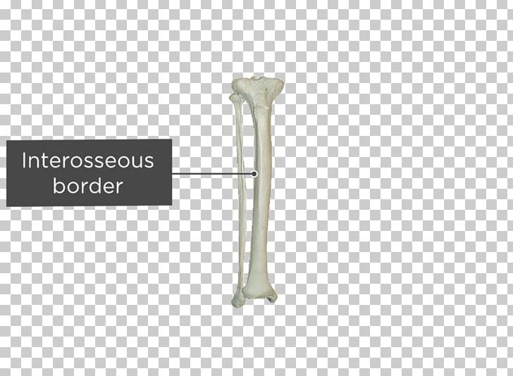 Tibia And Fibula Anatomy Iliac Crest PNG, Clipart, Anatomy, Angle, Anterior Tibial Vein, Bone, Bone Fracture Free PNG Download