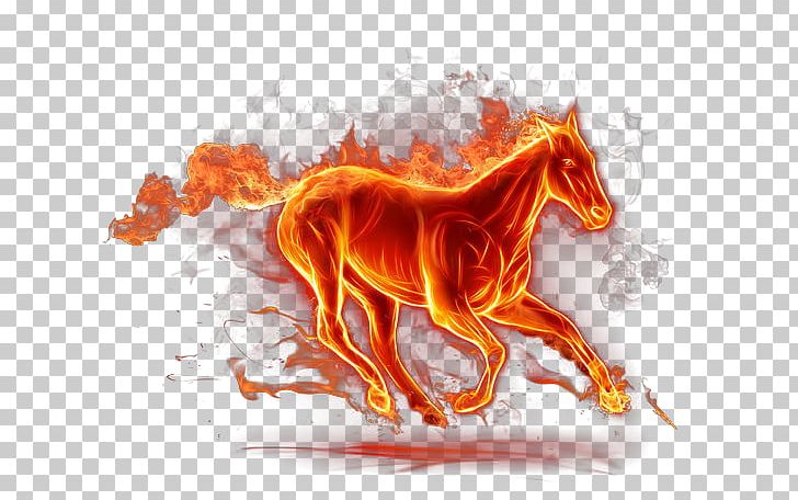 Horse Fire Flame Light PNG, Clipart, Animals, Art, Burning Fire, Campfire, Combustion Free PNG Download