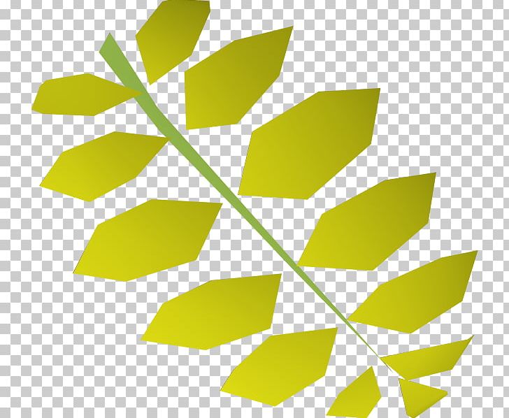 Leaf Green Curry Old School RuneScape Indian Cuisine Curry Tree PNG, Clipart, Angle, Branch, Curry, Curry Leaves Cliparts, Curry Tree Free PNG Download