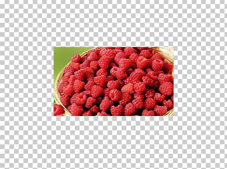 Raspberry Cranberry Superfood Strawberry PNG, Clipart, Auglis, Berry, Cranberry, Food, Fruit Free PNG Download