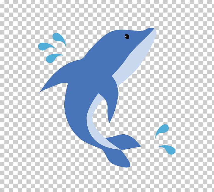 Common Bottlenose Dolphin Tucuxi Illustration PNG, Clipart, Animals, Beak, Biology, Blue, Bottlenose Dolphin Free PNG Download