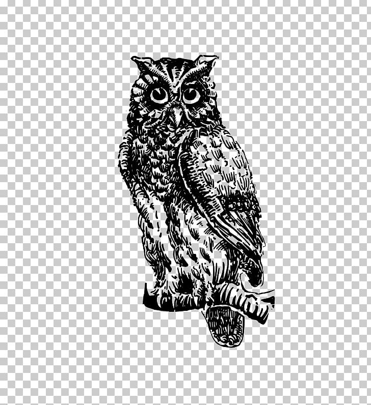 Owl The -poetry Book Drawing PNG, Clipart, Animal, Animals, Art, Beak, Bird Free PNG Download