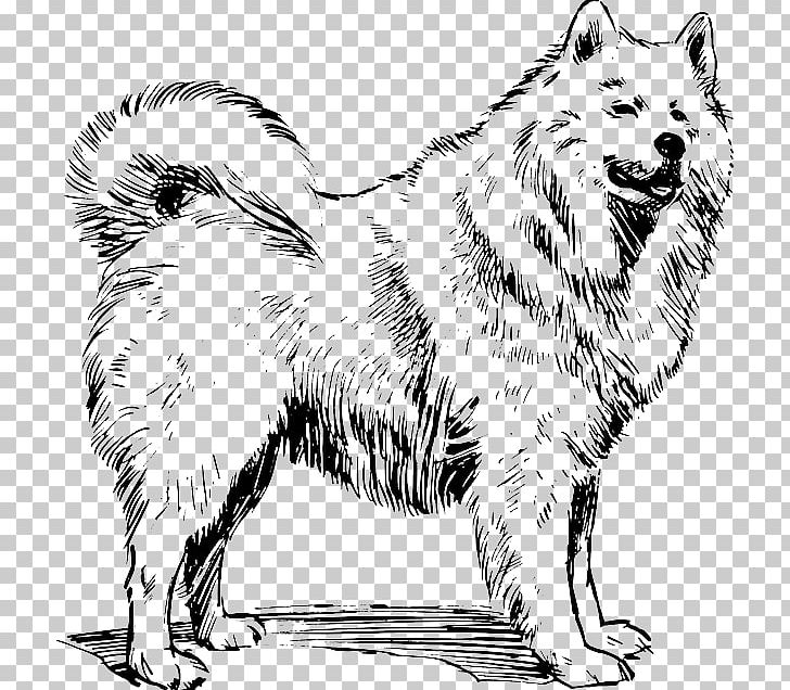 Samoyed Dog Alaskan Malamute Akita Dog Breed PNG, Clipart, Akita, Alaskan Malamute, Ancient Dog Breeds, Artwork, Black And White Free PNG Download