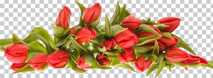 Flower Bouquet PNG, Clipart, Birds Eye Chili, Bud, Chili Pepper, Computer Icons, Cut Flowers Free PNG Download