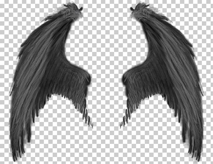 Wings PNG, Clipart, Wings Free PNG Download