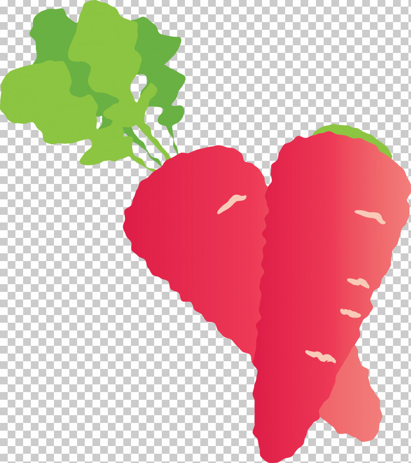 Carrot PNG, Clipart, Biology, Carrot, Fruit, Green, Heart Free PNG Download