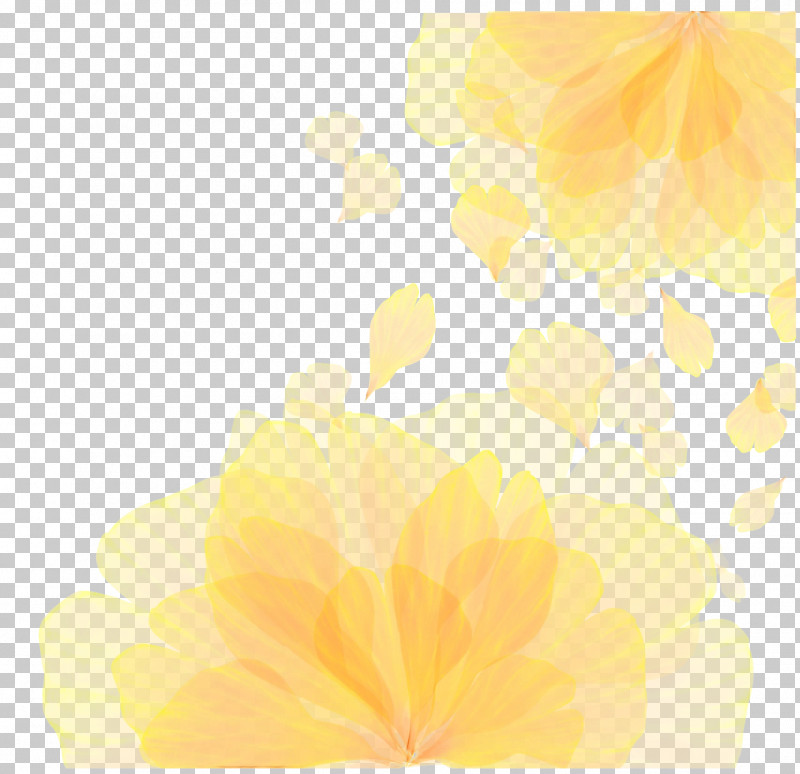 Flower Petal Leaf Yellow Sunlight PNG, Clipart, Biology, Computer, Flower, Leaf, M Free PNG Download