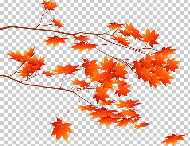 Leaf Maple Leaf People PNG, Clipart, Art, Branch, Computer Icons, Download, Flower Free PNG Download