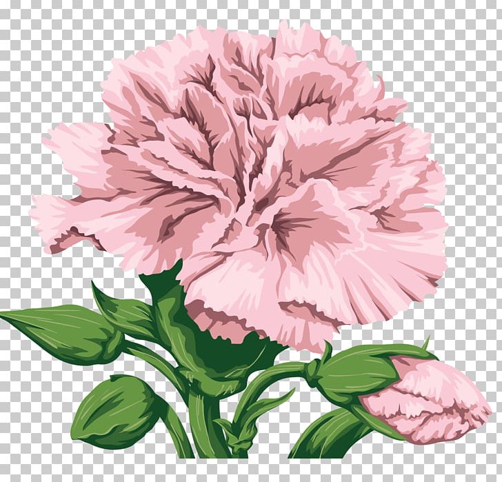 Carnation Cut Flowers PNG, Clipart, Annual Plant, Carnation, Encapsulated Postscript, Floral Design, Floristry Free PNG Download