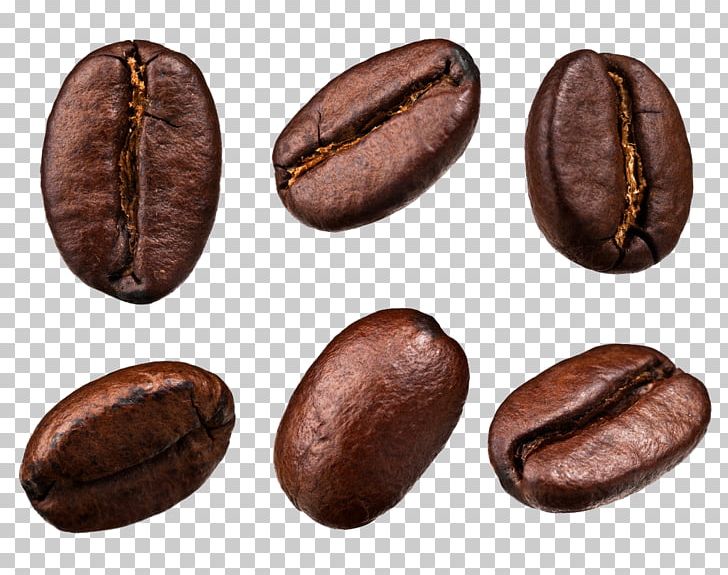 Coffee Bean Tea Cafe PNG, Clipart, Arabica Coffee, Baking, Barista, Bean, Beans Free PNG Download