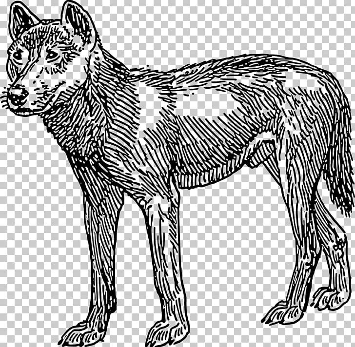 Dingo Dog Computer Icons PNG, Clipart, Animal Figure, Animals, Art, Big Cats, Black And White Free PNG Download