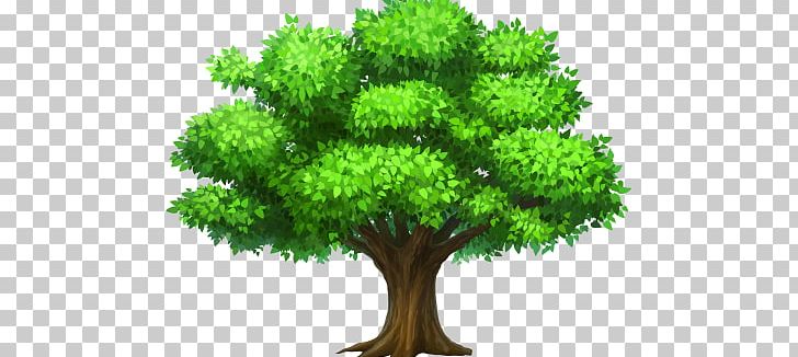 Tree Desktop PNG, Clipart, Arecaceae, Branch, Desktop Wallpaper, Document, Flowerpot Free PNG Download