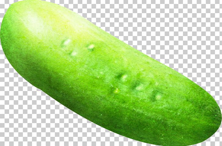 Cucumber Vegetable Fruit Melon PNG, Clipart, Auglis, Berry, Cucumber, Cucumber Gourd And Melon Family, Cucumis Free PNG Download