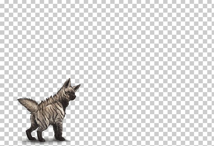 Maltese Dog Felidae Cat Striped Hyena PNG, Clipart, Animal, Animals, Canidae, Carnivora, Carnivoran Free PNG Download