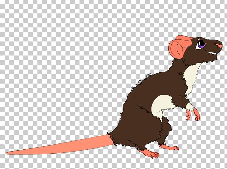 Rat Rodent Mouse Muroidea Mammal PNG, Clipart, Animal, Animals, Carnivora, Carnivoran, Cartoon Free PNG Download