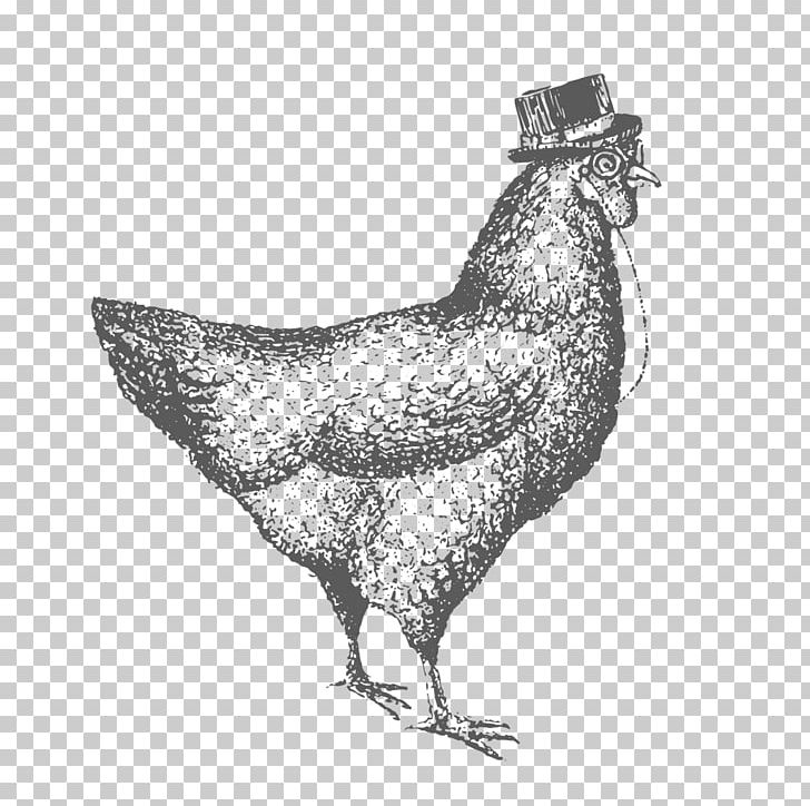 Rooster Chicken As Food Drawing PNG, Clipart, Animals, Beak, Bird, Black And White, Chicken Free PNG Download