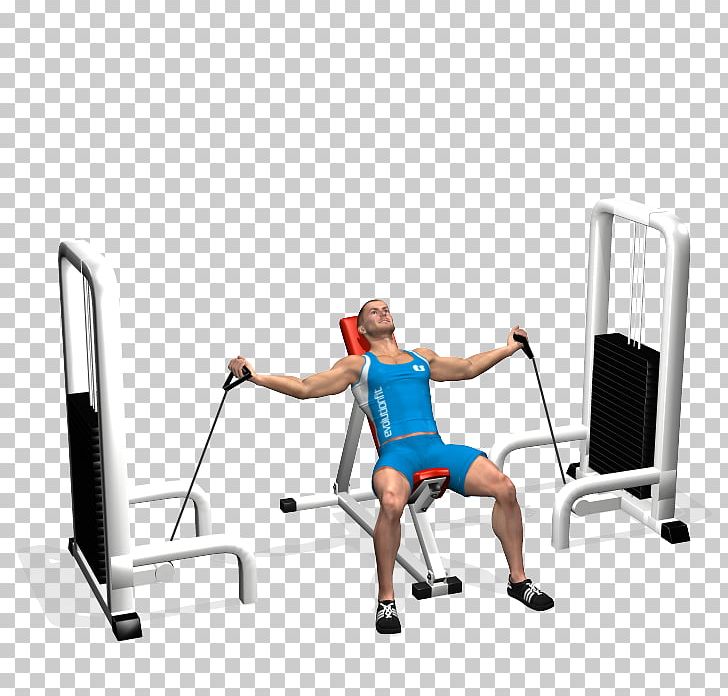 Shoulder Fly Bench Dumbbell Cable Machine PNG, Clipart, Arm, Bench, Bench Press, Exercise, Fitness Free PNG Download