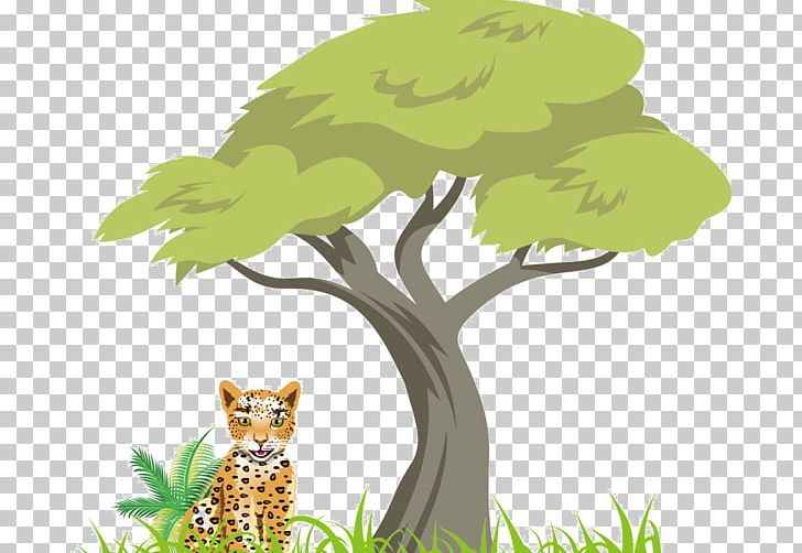 Tree PNG, Clipart, Agac Resimleri, Arecaceae, Big Cats, Bird, Branch Free PNG Download