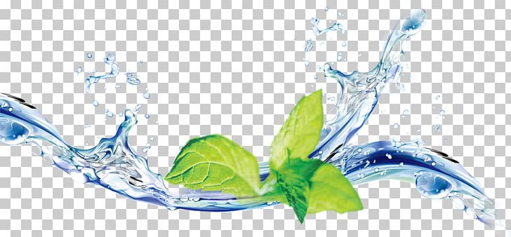 Water Mint Software PNG, Clipart, Adobe Illustrator, Artwork, Decorative Elements, Download, Drop Free PNG Download