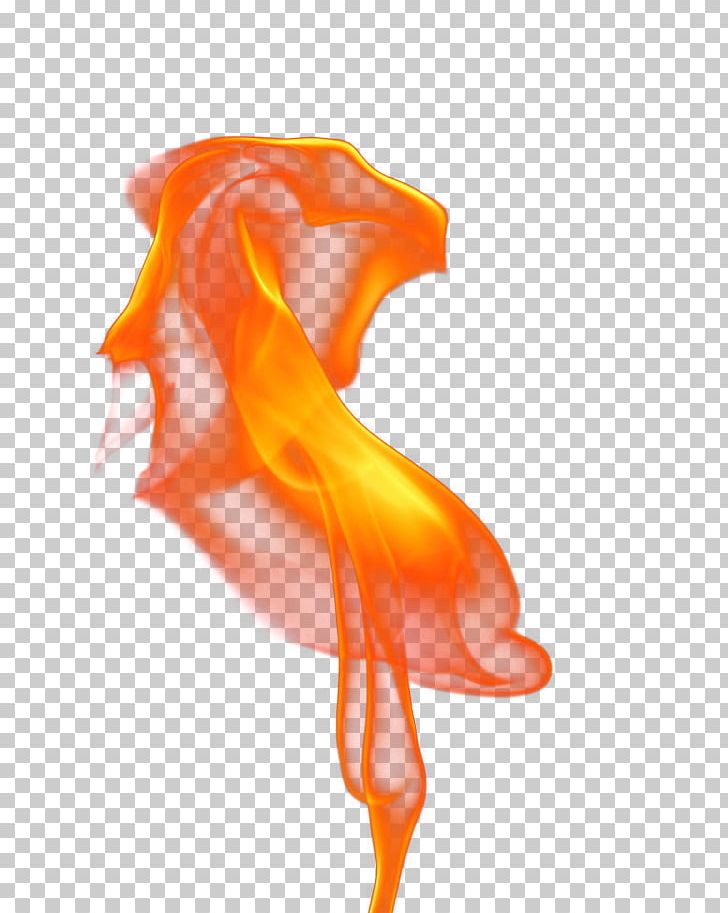 Flame PNG, Clipart, Beam, Beautiful, Burning Flame, Color, Combustion Free PNG Download