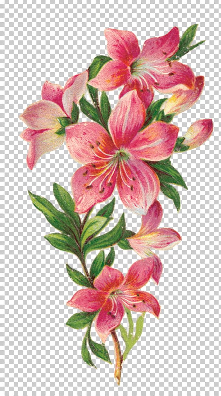 Flower Easter Lily Drawing Decoupage Sketch PNG, Clipart, Alstroemeriaceae, Cut Flowers, Decoupage, Drawing, Easter Lily Free PNG Download