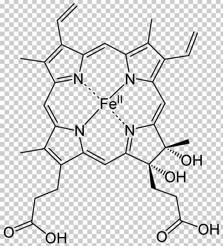 Heme Porphyrin Chemistry Iron Acid PNG, Clipart, 5aminolevulinic Acid, Acid, Angle, Area, Atom Free PNG Download