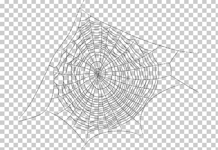 Spider Web Drawing PNG, Clipart, Angle, Arachnid, Area, Black And White, Circle Free PNG Download