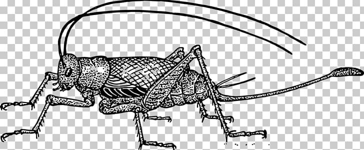 The Cricket In Times Square Chester PNG, Clipart, Arthropod, Artwork, Auto Part, Black And White, Chester Free PNG Download
