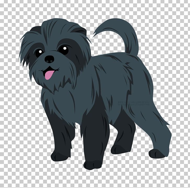 Affenpinscher Puppy Cairn Terrier Schnoodle Dog Breed PNG, Clipart, Affenpinscher, Animal, Animals, Breed, Cairn Terrier Free PNG Download