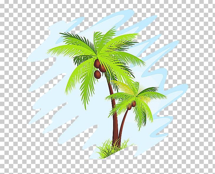 Coconut Arecaceae PNG, Clipart, Arecales, Art, Branch, Creative Background, Drawing Free PNG Download