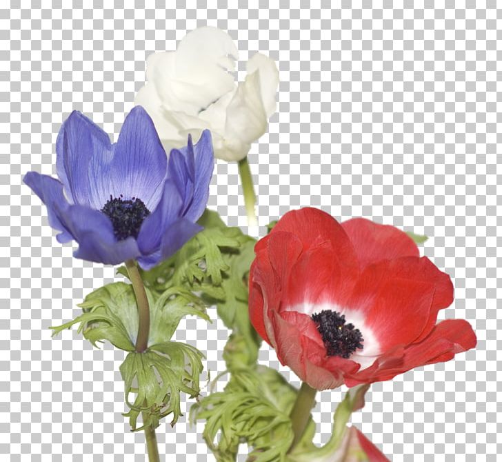 Cut Flowers Floral Design Artificial Flower Flower Bouquet PNG, Clipart, Anemone, Anemone Apennina, Artificial Flower, Blue, Cut Flowers Free PNG Download