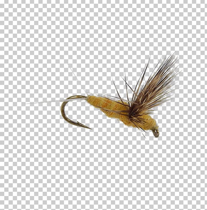 Insect Artificial Fly PNG, Clipart, Andy, Animals, Arthropod, Artificial Fly, Dun Free PNG Download