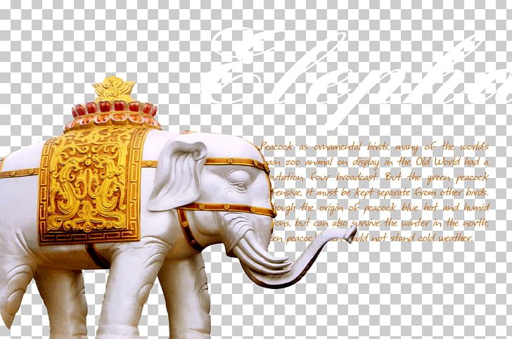 Pattaya Chiang Rai Chiang Mai Thai PNG, Clipart, Animals, Background, Background Material, Brand, Elephant Free PNG Download