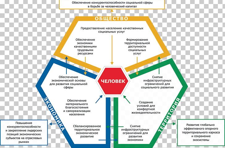 Organization Diagram Brand Line Learning PNG, Clipart, Area, Art, Brand, Diagram, Learning Free PNG Download