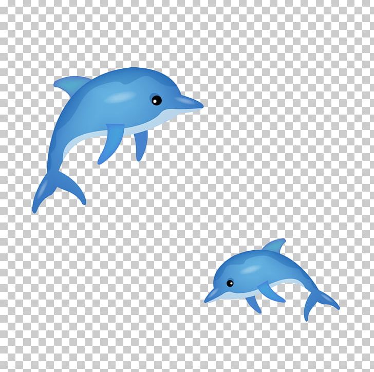 Short-beaked Common Dolphin Common Bottlenose Dolphin Tucuxi PNG, Clipart, Animal, Animals, Beak, Blue, Cartoon Free PNG Download