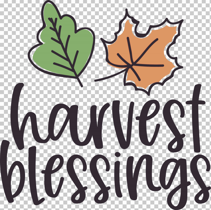 Harvest Thanksgiving Autumn PNG, Clipart, Autumn, Biology, Flower, Fruit, Geometry Free PNG Download