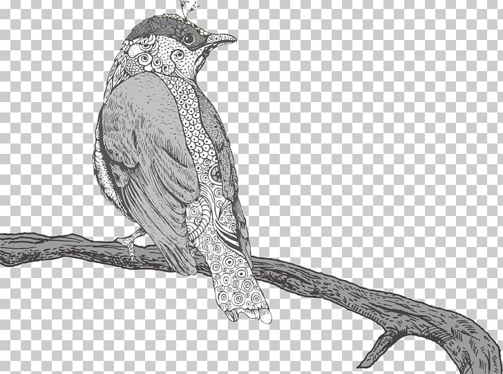 Drawing Illustration PNG, Clipart, Animals, Art, Beak, Bird, Bird Cage Free PNG Download