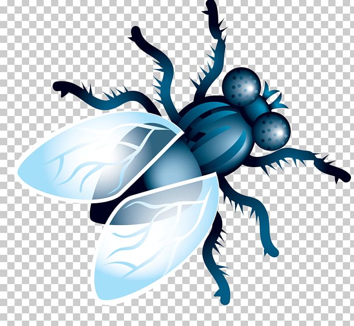 Fly PNG, Clipart, Fly Free PNG Download