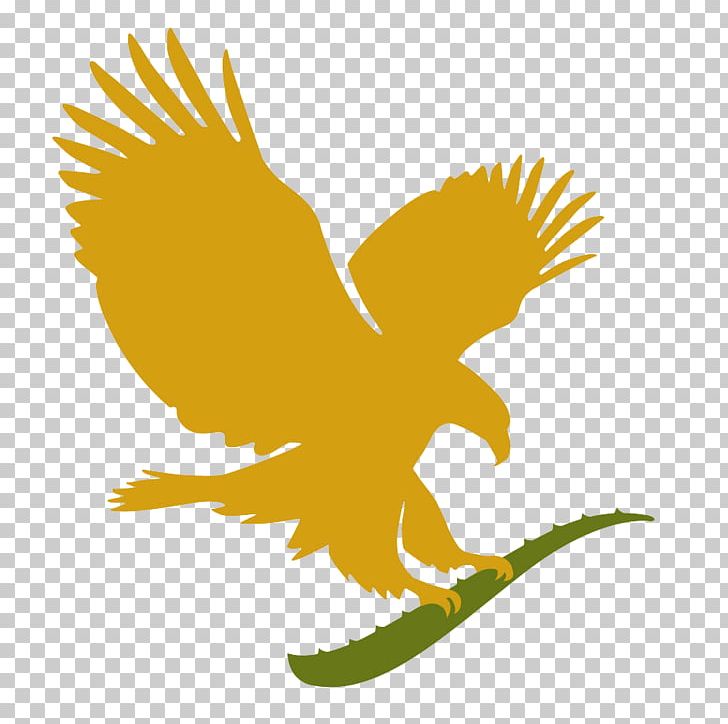 FOREVER LIVING PRODUCTS-Independent Distributor Cosmetics Forever Living Products Cameroon Health PNG, Clipart, Aloe Vera, Beak, Bird, Bird Of Prey, Eagle Free PNG Download