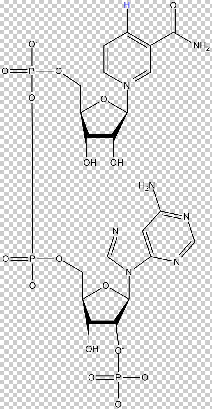 Nicotinamide Adenine Dinucleotide Phosphate Flavin Mononucleotide Flavin Reductase PNG, Clipart, Angle, Area, Auto Part, Black And White, Coenzyme Free PNG Download