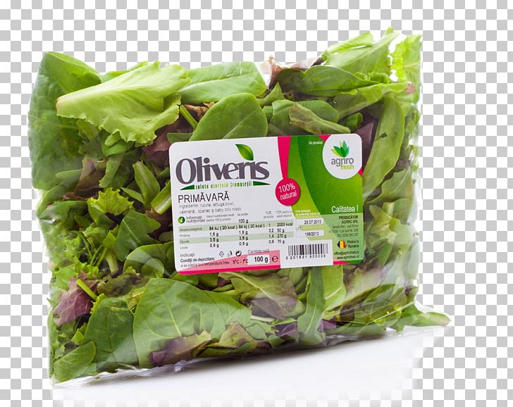 Romaine Lettuce Salad Spinach Endive Basil PNG, Clipart, Arugula, Basil, Chard, Endive, Fines Herbes Free PNG Download
